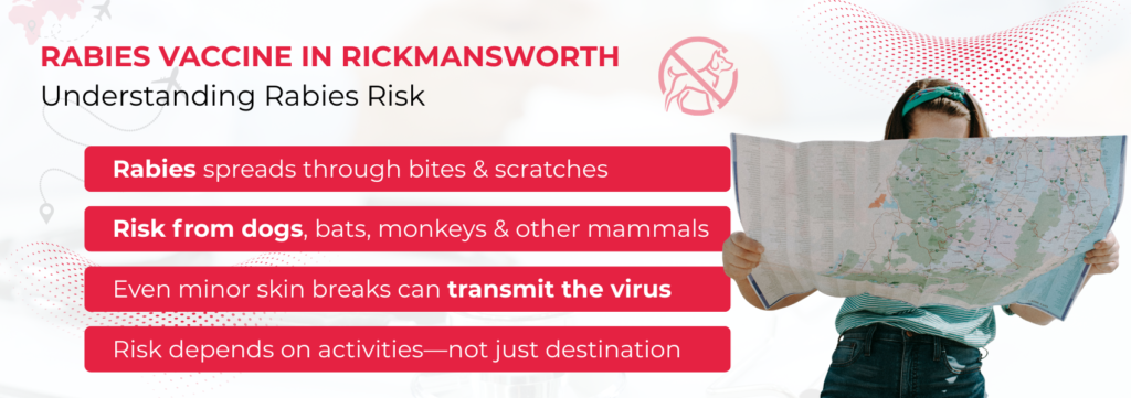 Understanding Rabies Risk for Travellers