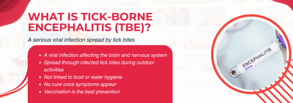 What Is Tick-Borne Encephalitis?